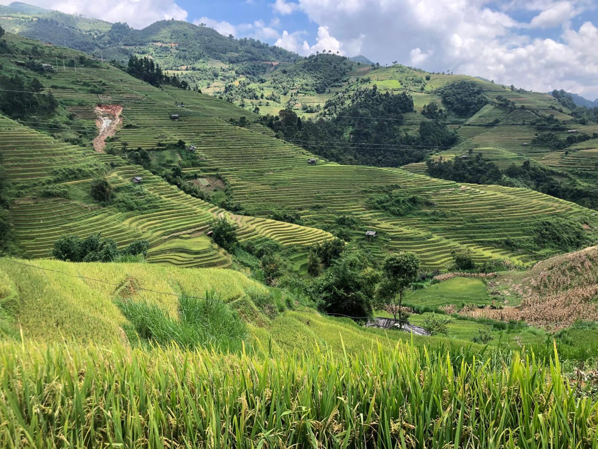 Do Gu Homestay Mu Cang Chai Buitenkant foto