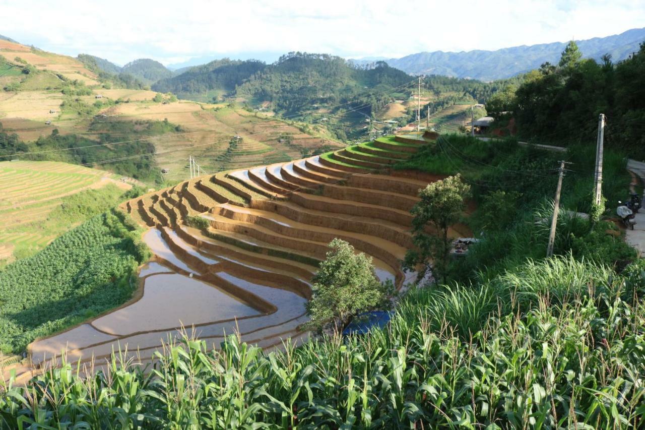 Do Gu Homestay Mu Cang Chai Buitenkant foto