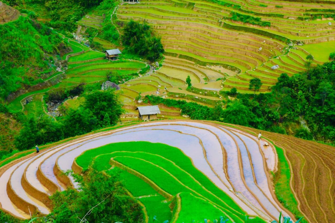 Do Gu Homestay Mu Cang Chai Buitenkant foto