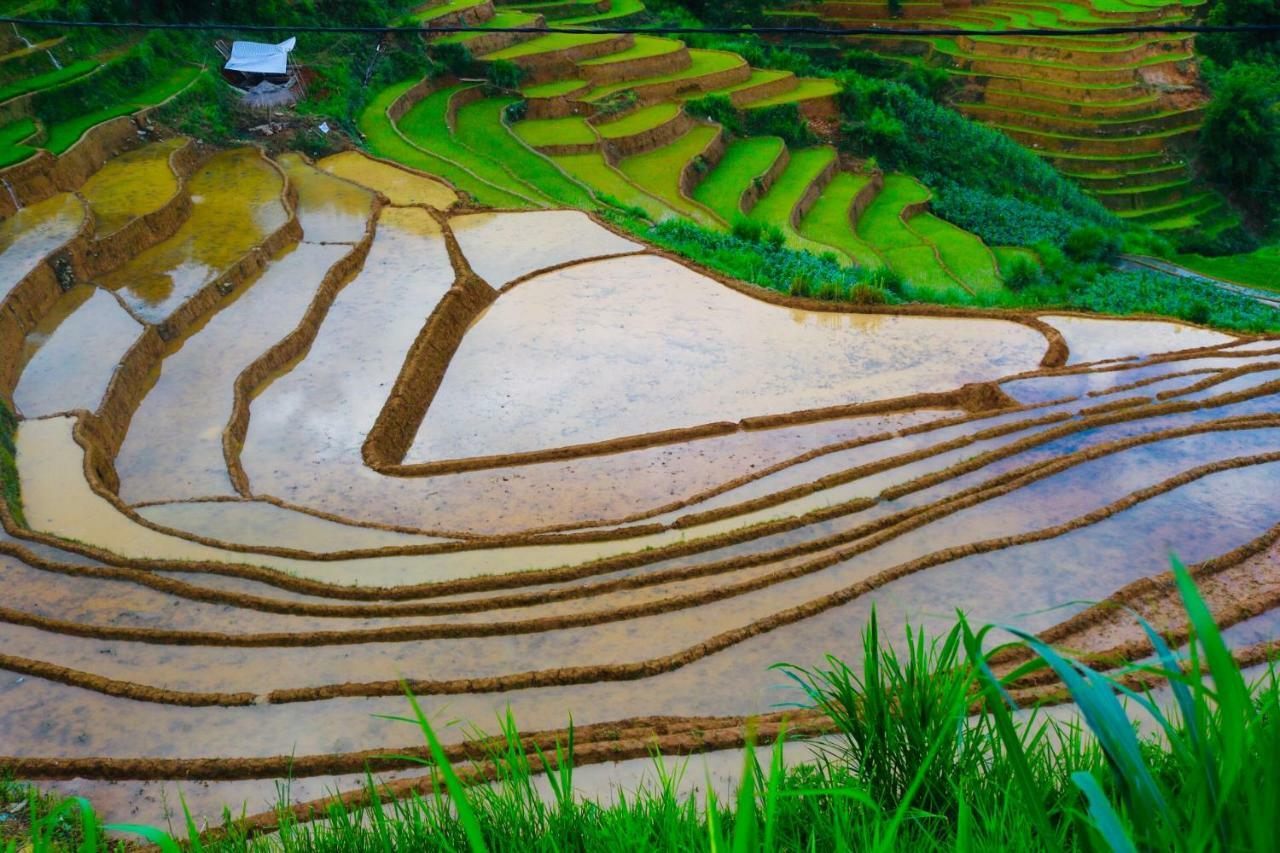 Do Gu Homestay Mu Cang Chai Buitenkant foto